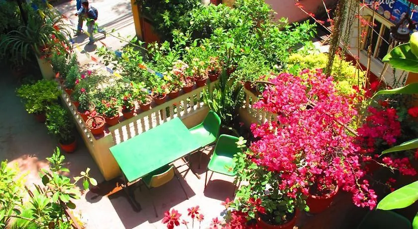 Souvenir Guest House Kathmandu